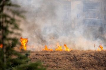 Flames and Smoke Rising from an Urban Grassland Fire. Flames and Smoke from a Fire in Dry Urban Vegetation. Wildfire Burning Through Dry Grass in an Urban Area. © onderortel
