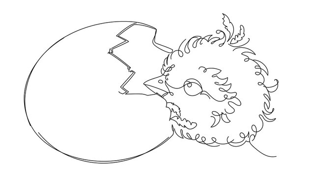 hatching chick white background.