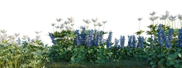 Obraz premium Ajuga reptans, Anemone canadensis and Cornus canadensis tree shrub, plant bush, cutout, isolate transparent background, Lush floral border with bluebonnet and anemone flowers