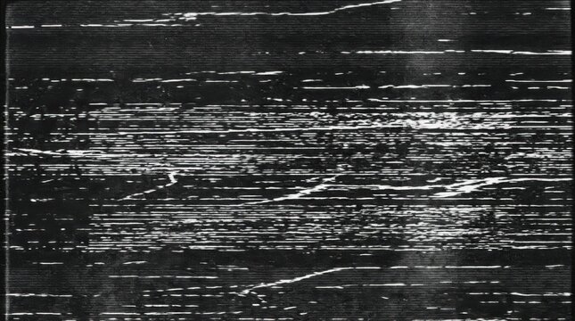 Analog VHS tape dropout static noise texture on a black and white screen