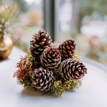 Eco-Conscious Event Planning with Reusable Materials and Diverse Team Collaboration in Bright Outdoor Space