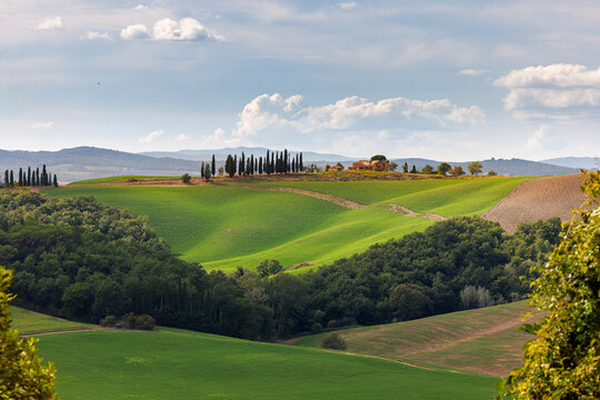 Les collines verdoyantes de la Val d&rsquo;Orcia en Toscane