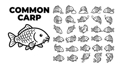 Obraz premium Common Carp Collection: A detailed illustration showcases the common carp fish with multiple whimsical drawings depicting various poses and expressions, highlighting aquatic life and biodiversity.