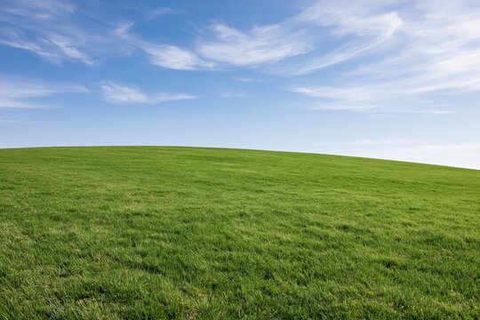 The Hill Overlooking a Vast Green Meadow Under a Clear Sky
