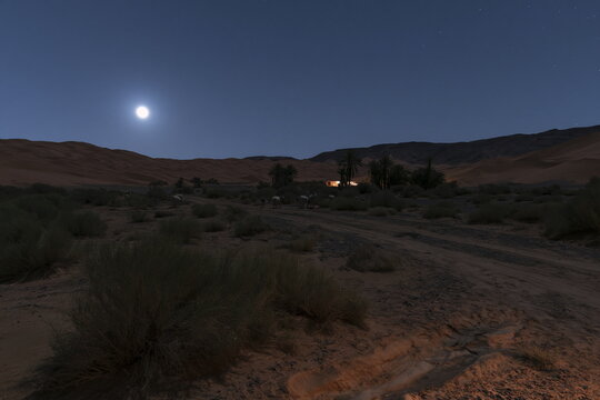 Breathtaking Panoramic View of Endless Golden Desert Dunes Under a Bright Azure Sky