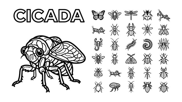 Cicada and Insect Icons: A detailed illustration of a cicada alongside a collection of various insect icons, presented in a clear, black and white graphic style.