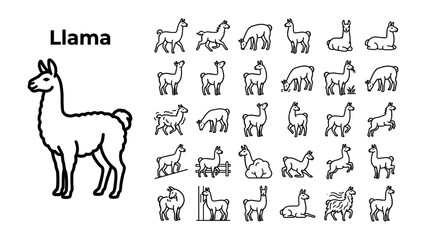 Obraz premium Llama Icon Collection: A comprehensive set of line art icons showcasing llamas in various poses and activities, perfect for educational or design purposes.
