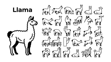 Obraz premium Llama Animal Variety Pack: A comprehensive illustration showcasing a llama and various dynamic poses of this fascinating creature, including actions like running, eating, and resting.