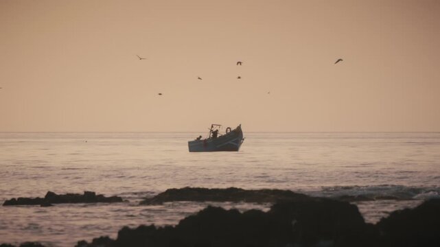 A traditional fishing boat sails past a rocky coastline at sunset in Tamraght, Morocco, as birds circle overhead.