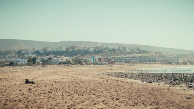A wide view of Banana Beach, Tamraght, Morocco, with white hillside buildings overlooking the sandy shore and a dog resting in the foreground.
