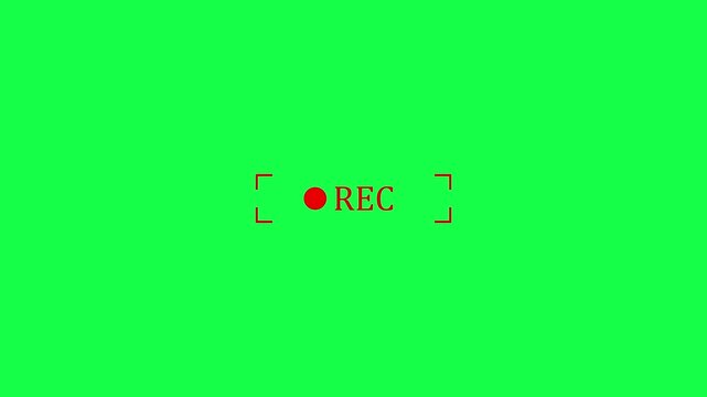 Animation highlights the animated rec inside focus brackets red recording light. on background 4k motion video with alpha channel