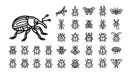 Fototapeta premium Insect Collection: A stylized illustration showcases a variety of insects, from a large weevil to numerous smaller beetles, moths, and ants, presented in a clear, graphic arrangement.