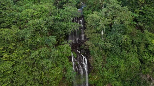 Cascades Through Lush Tropical Forest And Steep Green Cliffs At Sekumpul Waterfall In Buleleng Regency, Bali, Indonesia. Aerial Shot