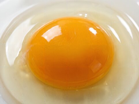raw egg yolk in white bowl with clear albumen