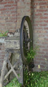 Vertical Video of a Traditional Fodder Chaff Cutter Machine Chopping Fresh Green Grass for Cattle Feed