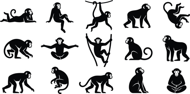 collection of black isolated monkey silhouettes showing different active climbing and sitting poses vector illustration
