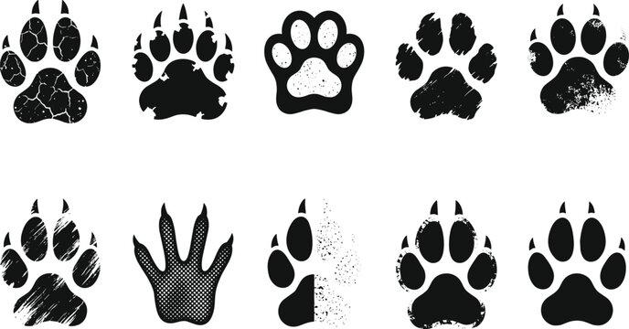 Grunge textured black silhouette vector collection of various wild animal paw prints with claws shapes isolated on clean white background
