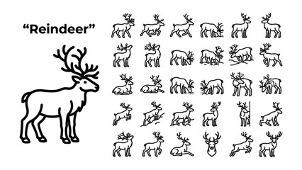 Reindeer Illustration Set: A comprehensive collection of stylized reindeer drawings showcasing diverse poses and actions, centered around a large, detailed depiction of a single reindeer. © Rokaiya
