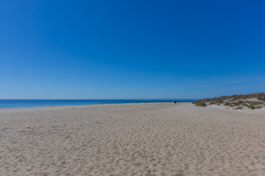 Expansive empty sandy beach and calm Baltic Sea under blue sky, Hel, Poland.