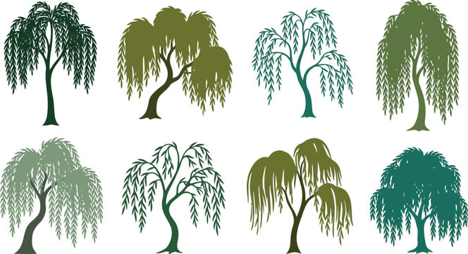Collection of weeping willow trees in various green hues against a white background vector illustration with natural elements
