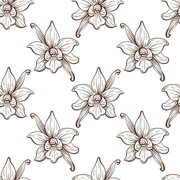 Vanilla orchid flower pod botanical spice linear vector seamless pattern illustration motif combining flowering forms with curved vanilla beans in a distinctive tropical culinary repeat