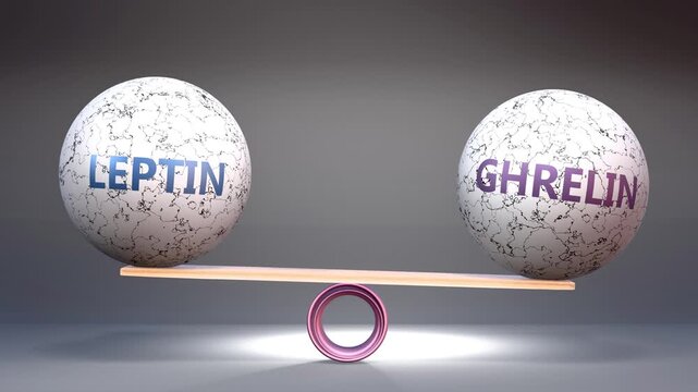 Leptin and ghrelin in balance - balancing stones on a scale symbolizing harmony, equity and equilibrium between leptin and ghrelin. Harmonious and beneficial situation.