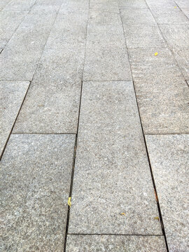 Gray stone pavement with scattered fallen leaves
