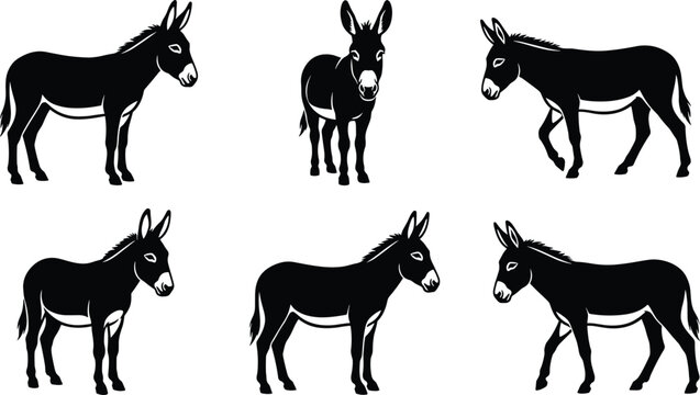 Domestic donkey silhouettes vector collection showing different farm animal poses walking standing and front view design elements