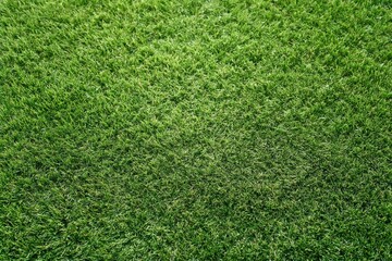 Obraz premium The Grass Close-Up: A Lush Green Lawn with Fresh Blades and Texture