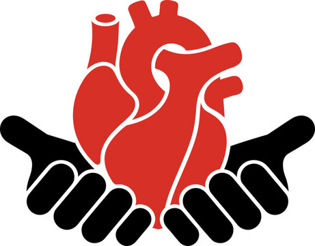  Hands holding human heart medical symbol vector illustration   