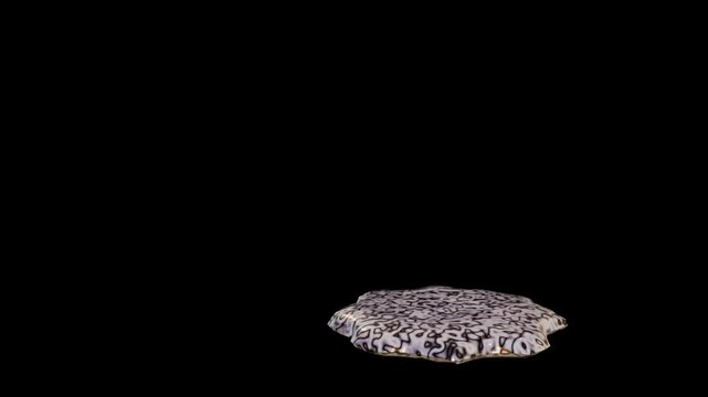 boule de slime stri&eacute;e noir et blanc qui tombe et s'&eacute;crase sur fond transparent - 10s