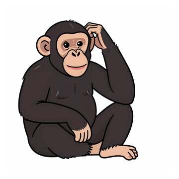 Common Chimpanzee sitting and scratching head vector illustration