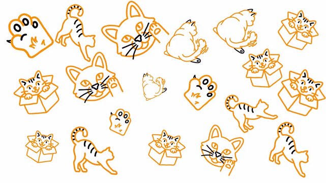 Cute Cat Illustrations Pattern Animation Orange Line Art on Transparent Background