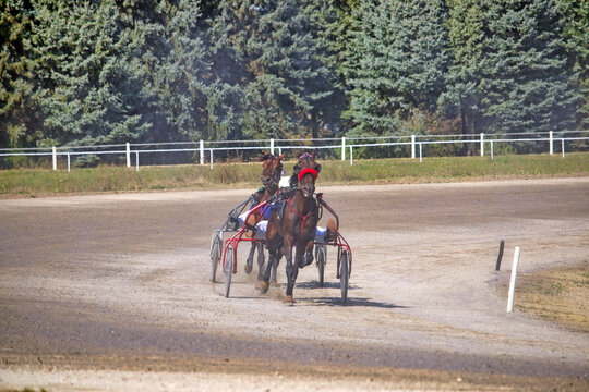 Two standardbred horses with drivers head to head in harness racing on a dirt track