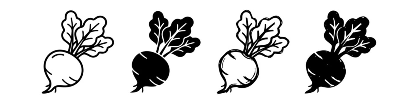 Set of beet or turnip root vegetable icons in outline, silhouette, and hand-drawn doodle styles. Vector illustration of fresh organic healthy food isolated on a white background.