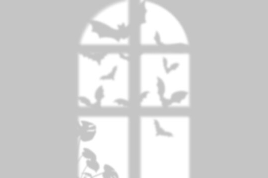 Window shadow overlay casting silhouettes of flying bats and leaves on a wall isolated on transparent background