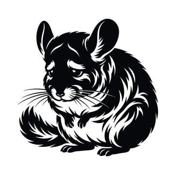 Black and white of a sitting chinchilla rodent animal