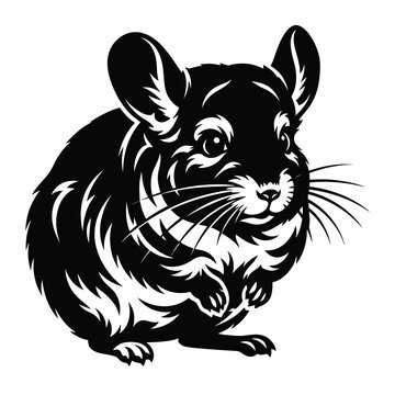 Black and white of a sitting chinchilla rodent animal