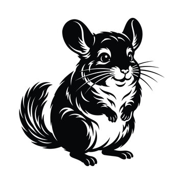 Black and white of a sitting chinchilla rodent animal