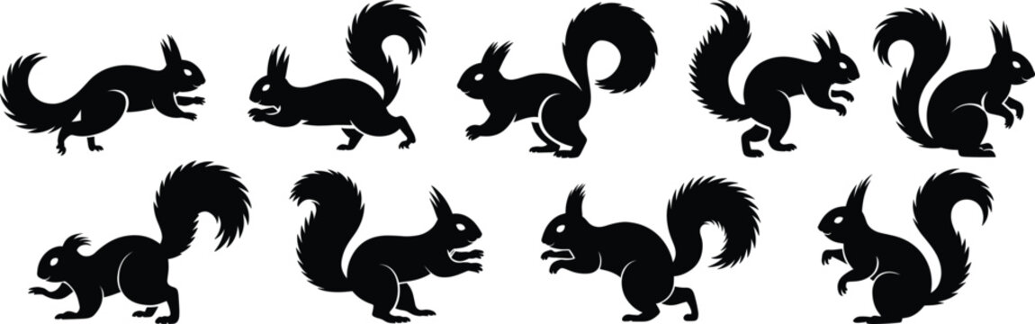 Set of black squirrel silhouettes in various poses, including running, sitting, and standing, isolated on a white background, collection