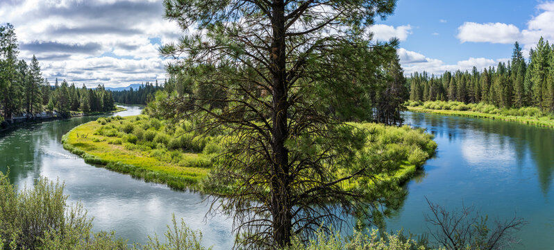 Panorama From Don McGregor Memorial Viewpoint in LaPine State Park Oregon