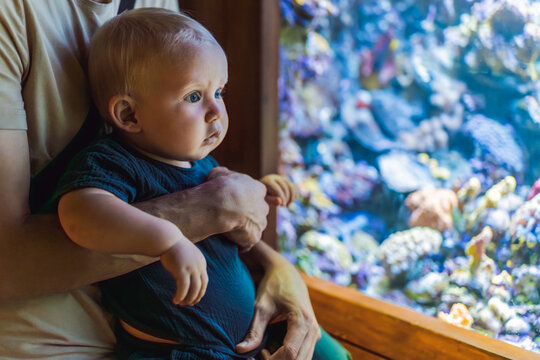 Dad carries his infant near a glowing aquarium tank, showing fatherhood, early learning, marine life discovery and family outing concept
