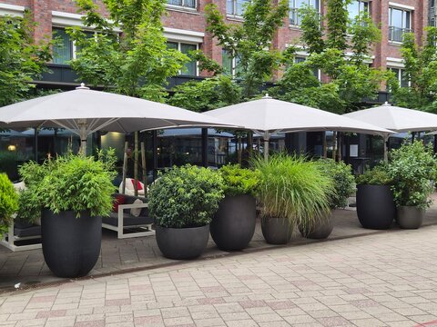 Contemporary urban outdoor seating area surrounded by potted foliage and sleek parasols. Brick building exterior featuring decorative potted trees and ornamental grass