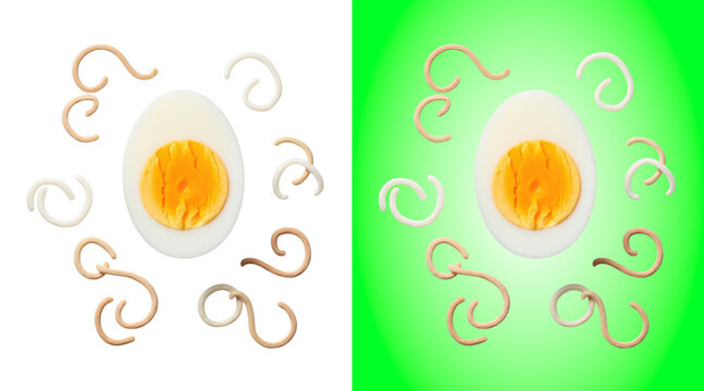 Hard-boiled egg with noodles artistic flat design