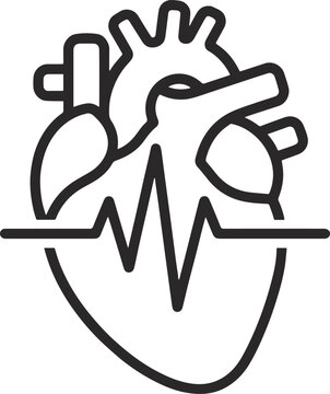 Anatomical Human Heart with EKG Pulse Line Vector Illustration