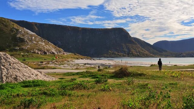 Autumn coastal landscape at Haukland Beach in the Lofoten Islands with green vegetation, sandy beach, calm sea and dramatic mountains beneath a blue sky.