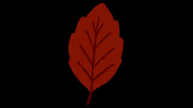 Hand-drawn chalk autumn leaf icon element drawing on alpha 4