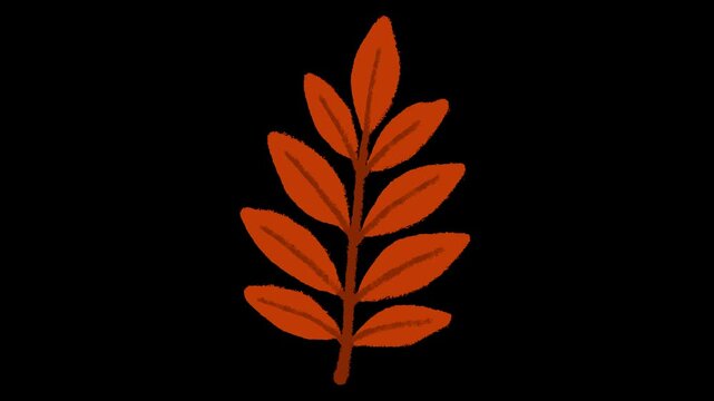 Hand-drawn chalk autumn leaf icon element drawing on alpha 5