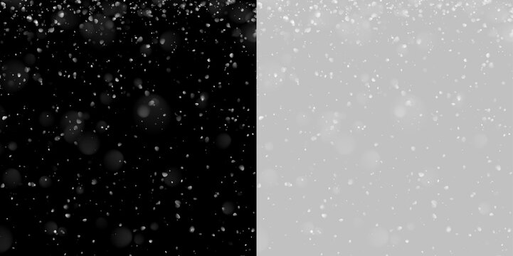 Gentle snowfall covers the scene with sparkling white crystals. Soft blur adds realistic depth and motion. PNG winter overlay for holiday photography.