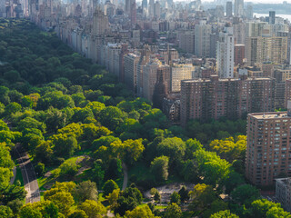 Obraz premium Aerial shot reveals the boundary between Central Park tree foliage and the apartment architecture of Upper East Side Manhattan in New York City on a sunny day.